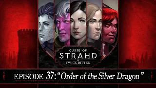 Order of the Silver Dragon | Curse of Strahd: Twice Bitten — Episode 37