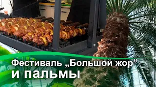 Фестиваль большая жрачка и пальмы