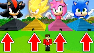 NIE WYBIERZ ZŁEJ PIRAMIDY BABY SONIC, SHADOW SONIC, SUPER SONIC, AMY ROSE w Minecraft!