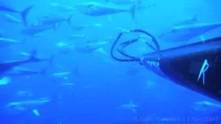 Freediver Herbert Nitsch in a Tuna Vortex