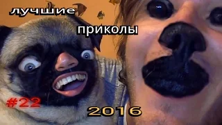 ЛУЧШИЕ ПРИКОЛЫ 2016!!!Самое смешное видео