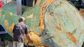 This is a form of rare white wood || Sawmill