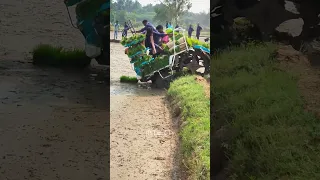 Kubota rice planter machine