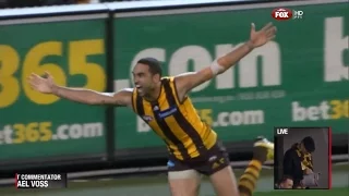 2013 Preliminary Final - Hawthorn Vs Geelong (3AW commentary)