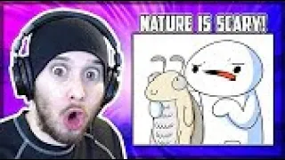 NATURE IS SCARY! - Reacting to Harry the Moth