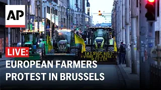 LIVE: European farmers protest in Brussels as EU agriculture ministers meet