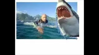 kelly slater vs great white!!!! (near death shark attack video)