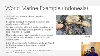 Plastic pollution in Indonesia