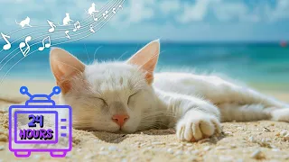 Calming Music for Cats | Make Your Cat Happy, Relaxation, Deep Sleep | Music Therapy for Cats #18