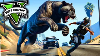 LE LION NOIR ATTAQUE LA POLICE ! (GTA 5 RP)