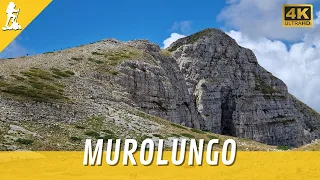 Monte MUROLUNGO e lago della DUCHESSA da CARTORE