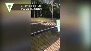 5 Real Crocodile Attacks On Human Caught On Camera 1080p 30fps H264 128kbit AAC