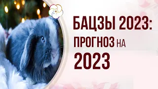 БАЦЗЫ 2023: Прогноз на год водяного Кролика 2023 по астрологии Бацзы