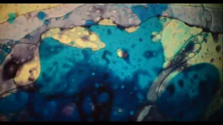 Celestial Galaxy Inspired Hydrodynamics Oil Wheel - Creative Commons Liquid Projections