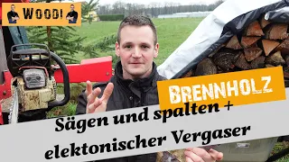 Brennholz sägen und spalten für den Küchenofen - elektronischer Vergaser bei Motorsägen - Woodi