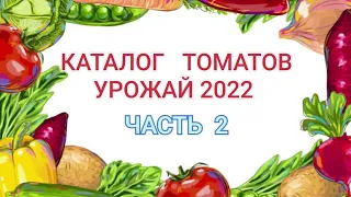 Каталог томатов урожай 2022 часть 2.