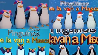 Top Los pinguinos me la van a mascar