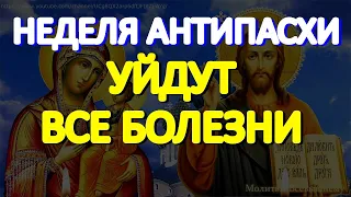 Неделя Антипасхи. Просите сегодня здоровья пред Моздокской иконой Богородицы. Исцеляет тяжкие недуги