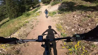 Grand Targhee Bike Park // Alta, Wyoming