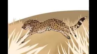 Run In The Sun(Cheetah Speedpaint)