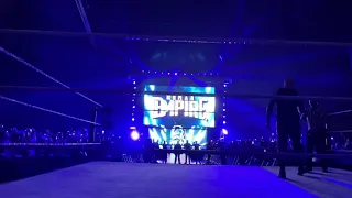 WWE Live Vienna 2019 Roman Reigns Entrance !!!!