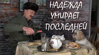 "Надежда умирает последней!" Монолог почтальона Печкина