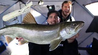 Ice Fishing Lake Trout on Muskrat Lake ( Crazy Livescope LVS34 Footage)