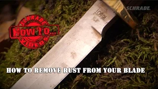 How To Remove Rust From a Knife Blade