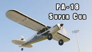 FMS PA-18 Super Cub Micro Plane Review 🛩️