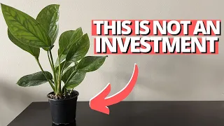 The problem with investment plants