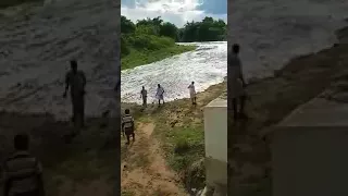 Kaveri River - Dam opened - Farmers of TN honured & Welcoming the River