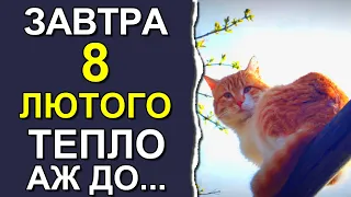 ПОГОДА НА ЗАВТРА: 8 ЛЮТОГО 2024 | Точна погода на день в Україні