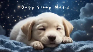 Lullabies for babies to go to sleep with :  Fall asleep in minutes with this soothing lullaby
