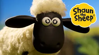 The Stare / Ping Pong Poacher | 2 x Episodes | Shaun the Sheep S4