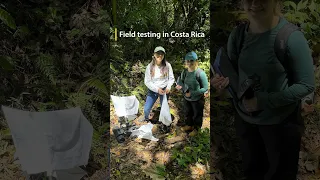 Engineering Tick Collection Devices for Costa Rica