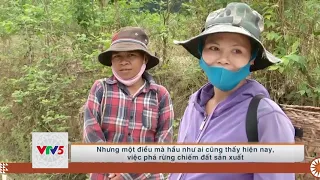 [TIẾNG THÁI] PHÁT TRIỂN RỪNG GẮN VỚI TẠO SINH KẾ VÙNG DÂN TỘC THIỂU SỐ | VTV5