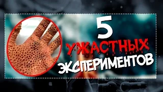 5 самых страшных научных экспериментов