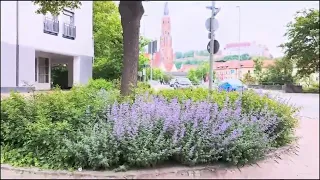 Strolling around Landshut Germany | Amazinf place