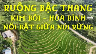 Ruộng bậc thang Kim Bôi - Kim Bôi paddy field