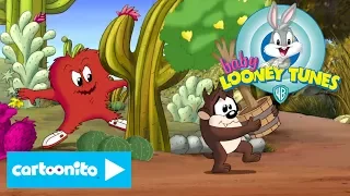 Baby Looney Tunes | Lemon Tree Trouble | Cartoonito