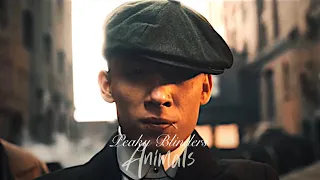 Peaky Blinders | Animals