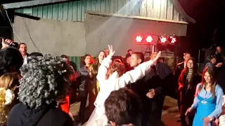 Болгарская музыка на болгарской свадьбе