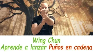 Aprende a EJECUTAR puños en CADENA de Wing Chun en ESPAÑOL "2º" 😀