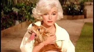 Marilyn Monroe And Tippy The Dog(Jeff) - Rare, Raw Outtakes From Something's Got to Give 1962