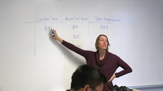 Calculating magnifications for a compound microscope