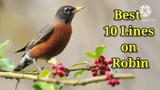 Robin/10 Lines on Robin in English/Essay on Robin/Few Lines on Robin/Paragraph on Robin/#robinbird