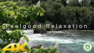 Best Sleeping Aid Video River Rhine Switzerland relaxing 10 hours in 4K