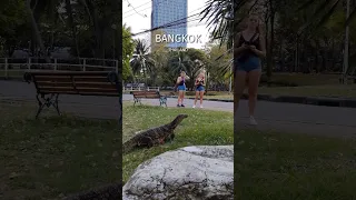 Monitor Lizard in Lumphini Park #bangkok #thailand