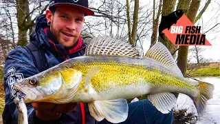 Raubfischangeln mit dem Profi: Mit Köderfisch vom Ufer auf Zander