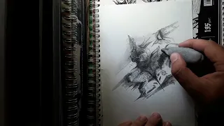 10 Unique Charcoal Drawings in One (Longer Version)